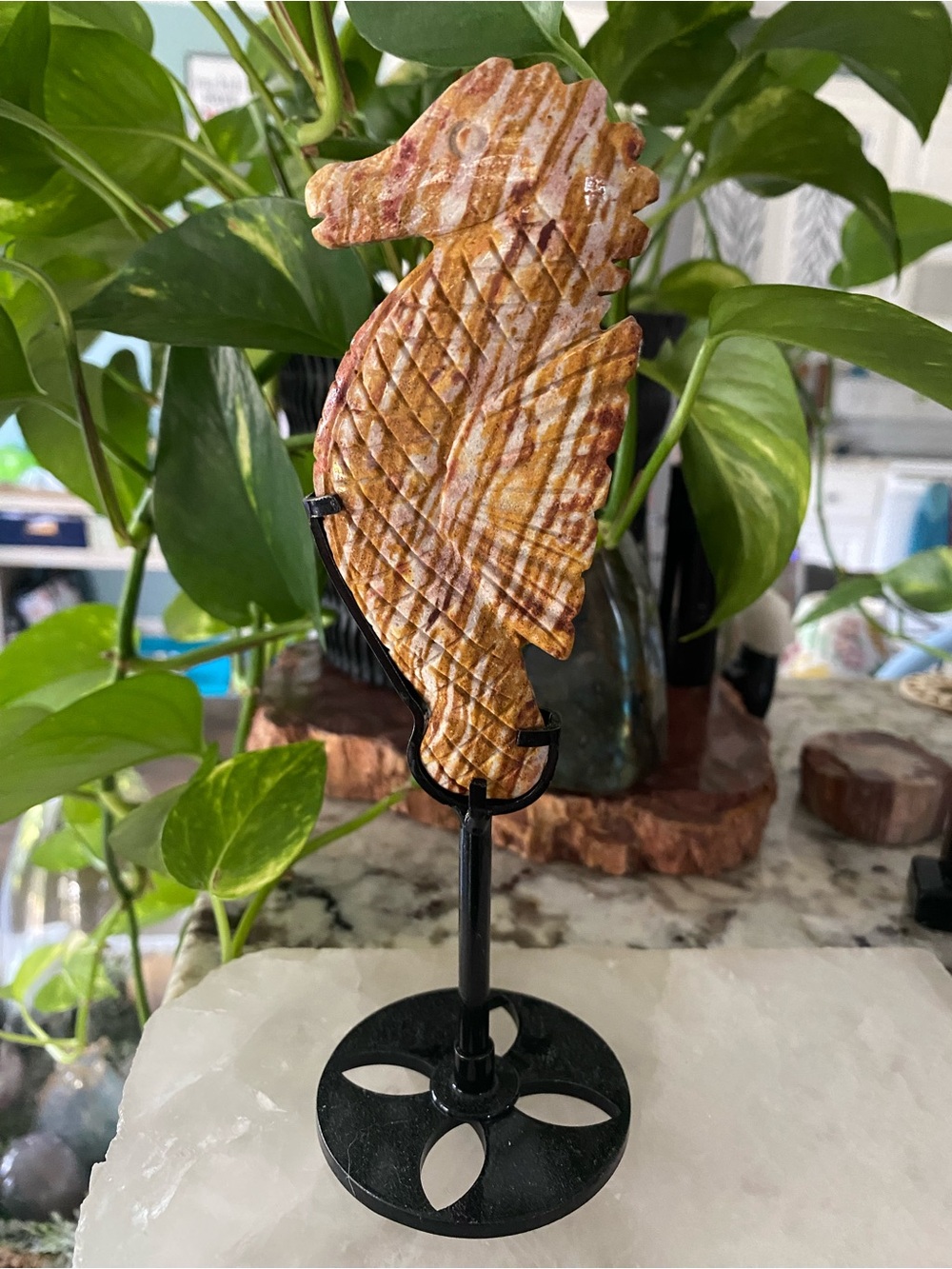 🎨🐚 Van Gogh Jasper Seahorse — Art from the Earth! 🐚🎨
